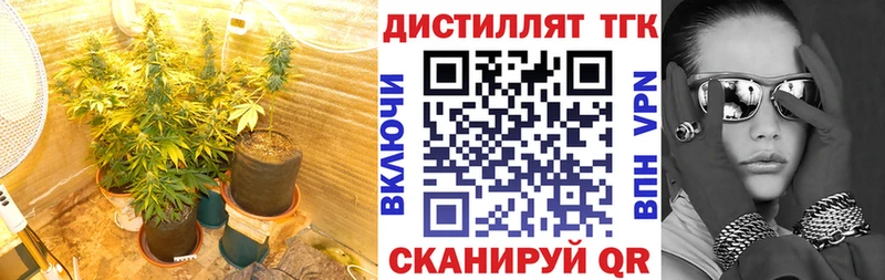 ТГК Wax  Задонск 