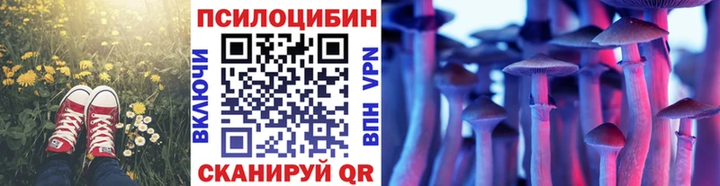 kraken ССЫЛКА  цены   Задонск  Галлюциногенные грибы мухоморы 